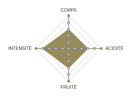 diagramme-Salvador-Bahia