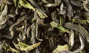 darjeeling-de-printemps_feuilles-610x360