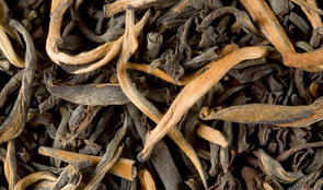 grand-yunnan_feuilles-610x360