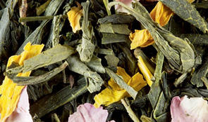 peche_feuilles-610x360