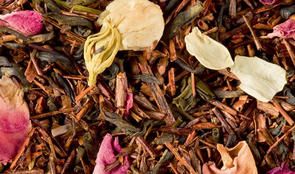 rooibos-bali-feuilles